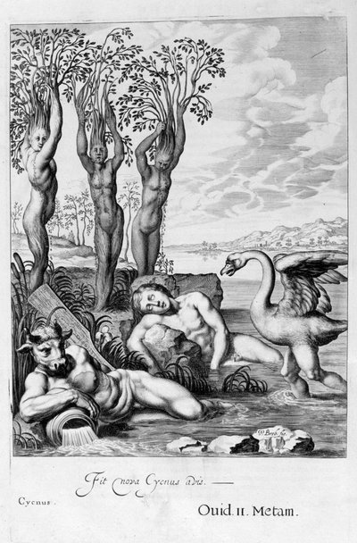 Cygnus verwandelt sich in einen Schwan und Phaetons Schwestern in Pappeln, 1655 von Michel de Marolles