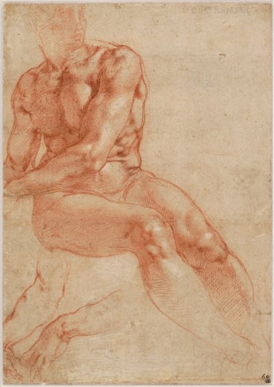 Sitzender junger männlicher Akt und zwei Armstudien (recto), ca. 1510-11 von Michelangelo