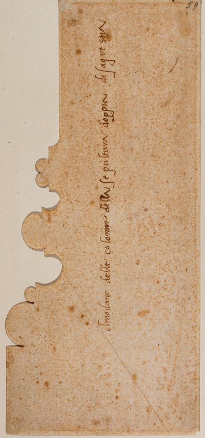Basisprofil einer Säule für die Neue Sakristei von Michelangelo Buonarroti
