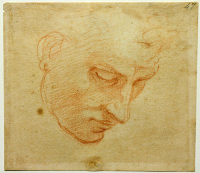 Kopfstudie zur Sixtinischen Kapelle, ca. 1509-1510 von Michelangelo Buonarroti