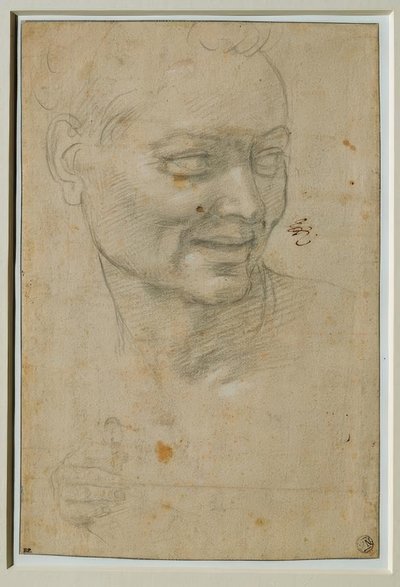 Kopf und rechte Hand des Ignudo über und links von Jesaja von Michelangelo Buonarroti