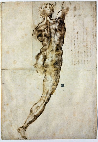Akt von hinten, ca. 1504 von Michelangelo Buonarroti