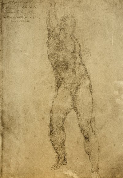 Aktstudie, Zeichnung von Michelangelo. Gallerie dell