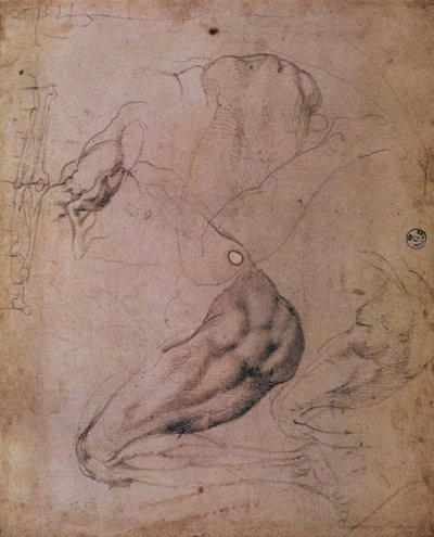 Sixtinische Kapelle Decke (1508-12): Skizzen der Figur von Eva aus der Szene der Erbsünde von Michelangelo Buonarroti
