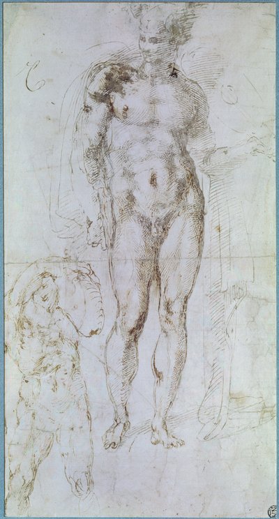 Studie für Apollo (ehemals Merkur) stehend nackt mit einem Umhang über den Schultern und die Figur eines Mannes, der eine Last trägt von Michelangelo Buonarroti