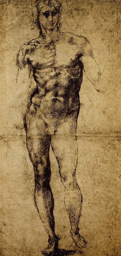 Studie für einen männlichen Akt, Michelangelo Buonarroti (1475-1564), Zeichnung, Paris, Louvre Museum von Michelangelo Buonarroti