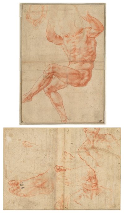 Studie für den nackten Jüngling über dem Propheten Daniel (recto); Figurenstudien für die Sixtinische Decke (verso) von Michelangelo Buonarroti