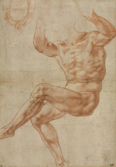 Studie für den nackten Jüngling über dem Propheten Daniel, für die Sixtinische Decke, 1510-11 von Michelangelo Buonarroti