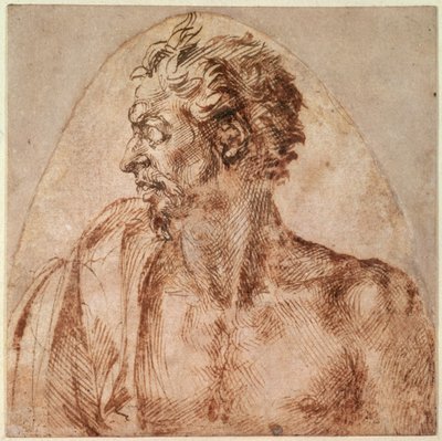 Studie von Kopf und Schultern von Michelangelo Buonarroti