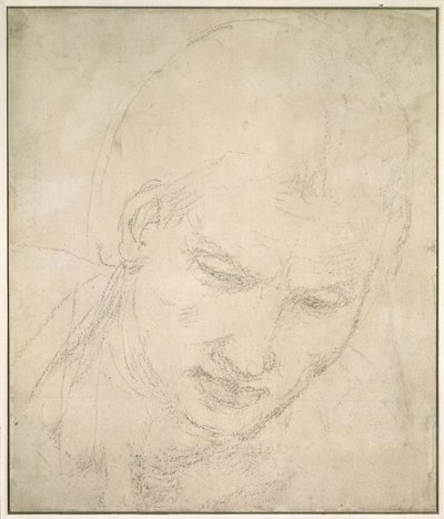 Studie eines Kopfes von Michelangelo Buonarroti