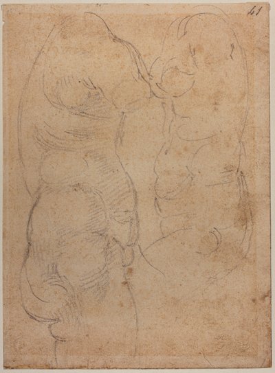 Zwei Studien einer antiken Venus von Michelangelo Buonarroti