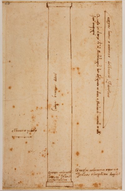 Vertikaler Schnitt einer Säule für die Fassade von San Lorenzo von Michelangelo Buonarroti