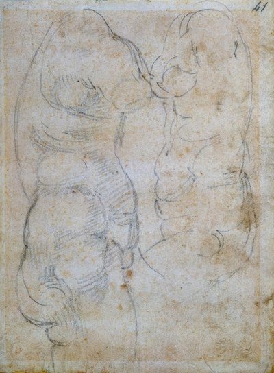 Zwei Studien nach einem antiken Frauentorso von Michelangelo Buonarroti