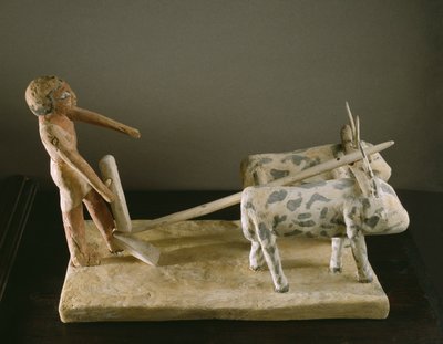 Grabmodell eines Pflügers, der seinen Pflug von zwei Ochsen ziehen lässt (bemaltes Holz) von Middle Kingdom Egyptian