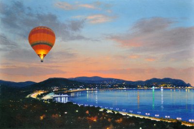 Nachtflug, 2016 von Mike Briscoe