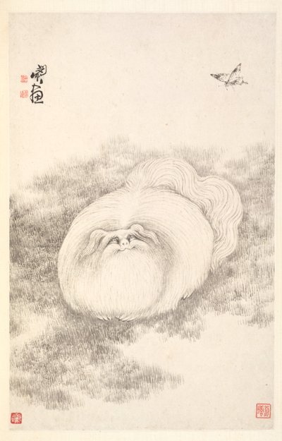 Katze und Schmetterling von Min Zhen