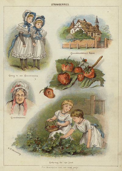 Erdbeeren von Miss Eliza F. Manning