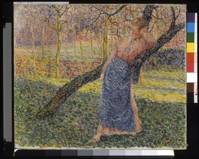 Frau in einer Wiese (Femme Dans Un Verger) von Modest Huys