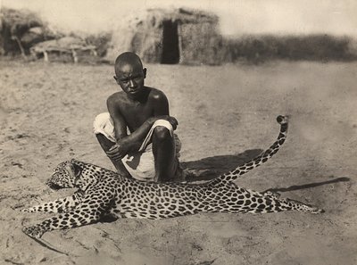 „Ein Imperium aufbauen“ im faschistischen Zeitalter: Eingeborener zeigt einen Leoparden, 09.05.1936 von Modestino Baldinetti