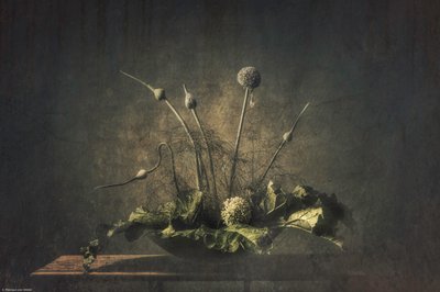 Dunkles botanisches Stillleben von Monique van Velzen