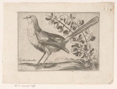 Vogel von Monogrammist AG