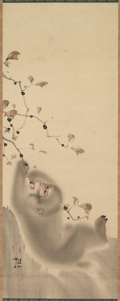 Affe, der sich an einem Ast festhält, 1780 von Mori Sosen