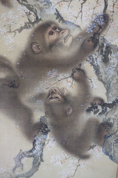 Affen in einem blühenden Kirschbaum, 2 von 2, Mori Sosen, Japan, Edo-Periode, frühes 19. Jahrhundert, Tinte und Farbe auf Seide - Arthur M. Sackler Museum, Harvard University von Mori Sosen