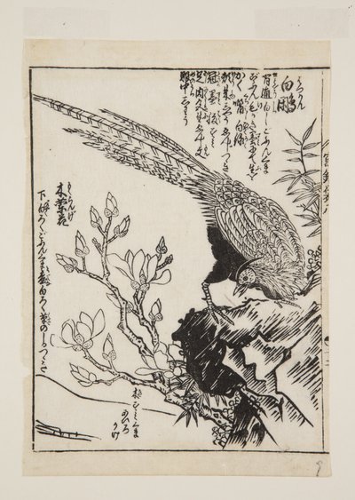 Fasan und Magnolie von Morikuna Morikuna