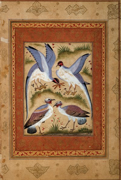 Vögel. Miniatur-Gouache aus der Mogul-Schule. 1590-1600. Paris, Guimet Museum, Nationalmuseum für asiatische Künste von Mughal School