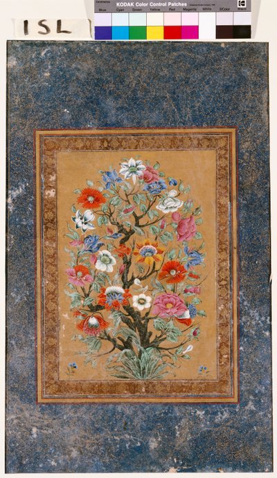 Mythische Pflanze von Mughal School