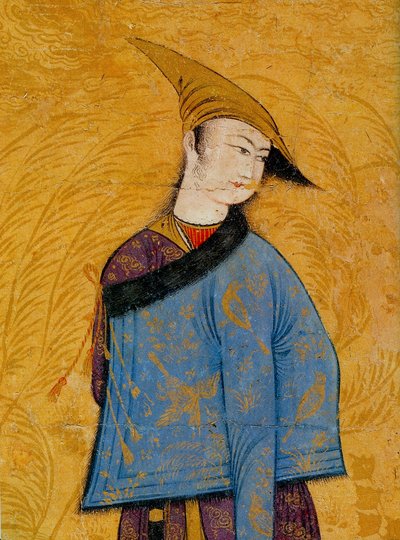 Jugendlicher mit einem kurzen pelzgefütterten Mantel über der Schulter, 1640er Jahre von Muhammad Yusuf