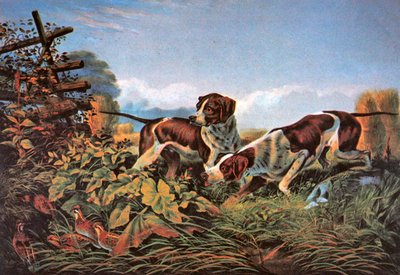 Amerikanische Feldsportarten: Auf einem Punkt von Currier and Ives