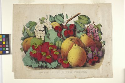 Amerikanische Sommerfrüchte von N. and Ives J.M. (1824 95) Currier
