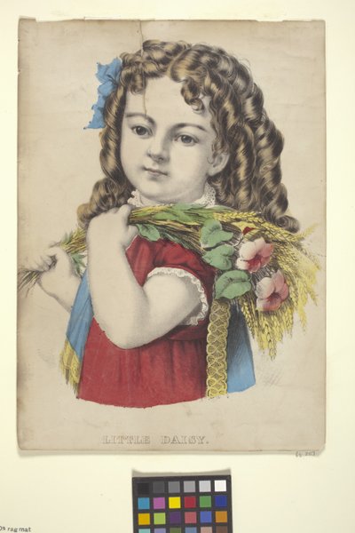 Kleine Daisy von N. and Ives J.M. (1824 95) Currier