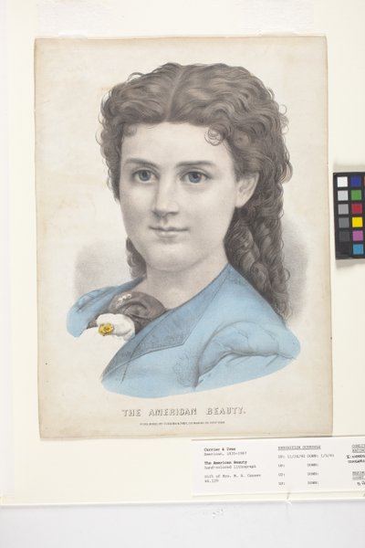 Die amerikanische Schönheit von N. and Ives J.M. (1824 95) Currier