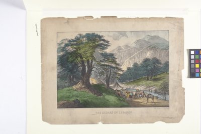 Die Zedern des Libanon von N. and Ives J.M. (1824 95) Currier