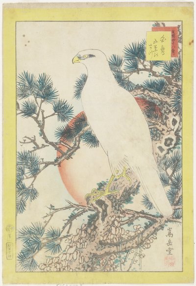 Nr. 1, Weißer Falke und Fünfnadel-Kiefer von Nakayama Sugakudo
