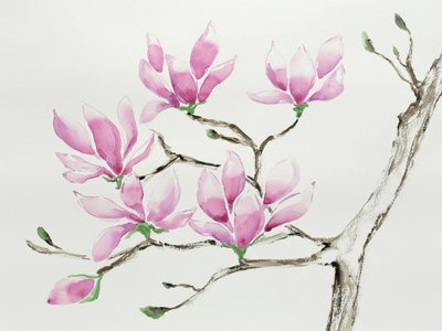 Zarte rosa Magnolien von Natalie Bruns