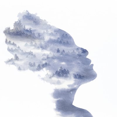 Gelassene Waldsilhouette von Natalie Bruns