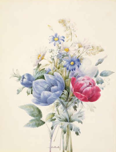 Eine Rose, Anemone, Reseda und Gänseblümchen von Nathalie d