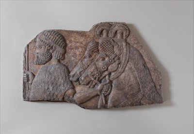 Fremder Bräutigam in einer Tributprozession, ca. 721-05 v. Chr. (Gipsalabaster) von Neo Assyrian Neo Assyrian