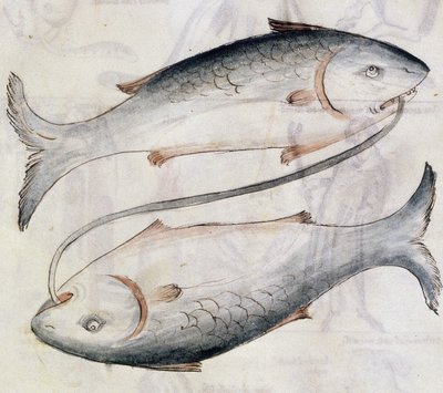 Zeichnung von Fischen, aus einer Übersetzung eines persischen astrologischen Traktats von Jafar ibn Muhammad (Pergament) von Netherlandish School