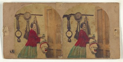 Gut gegen eine Erkältung. von New York Stereoscopic Company