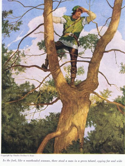 In der Gabelung wie ein Mastspitzenmatrose stand ein Mann in einem grünen Wams und spähte weit und breit von Newell Convers Wyeth