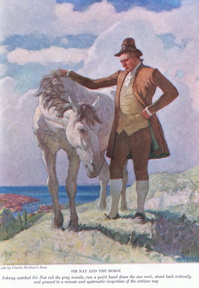 Sir Nat und das Pferd: Johnny beobachtete, wie Sir Nat die graue Schnauze rieb; zurücktrat und eine minutiöse und systematische Inspektion durchführte von Newell Convers Wyeth
