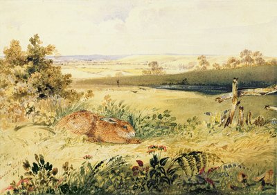 Hase in einer Landschaft, 1827 von Newton Fielding