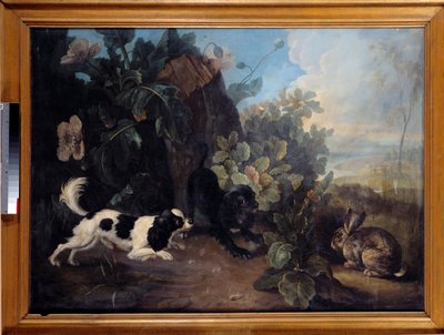 Zwei Hunde und ein Kaninchen von Nicholas Desportes