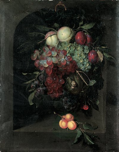 Girlande aus Trauben, Pfirsichen, Pflaumen und Kirschen mit einer Schnecke in einer Steinnische mit einem Bündel Aprikosen und einer Biene auf einem Sims, 1666 von Nicolaes Van Gelder