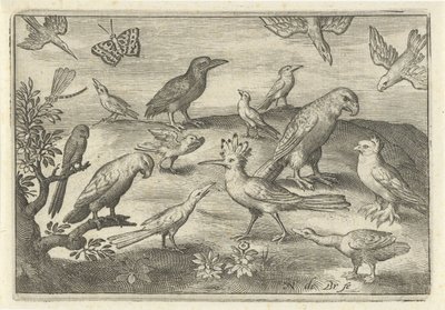 Hopfen und andere Vögel von Nicolaes de Bruyn