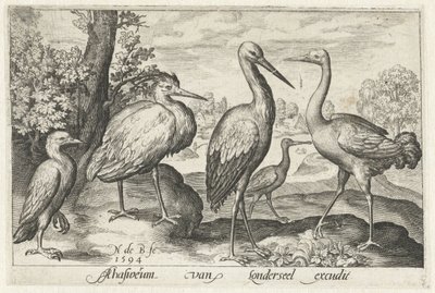 Storch, Kranich, Reiher und Löffler von Nicolaes de Bruyn